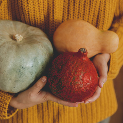 kuerbis einkochen hokkaido-butternut-muskat-kuerbis